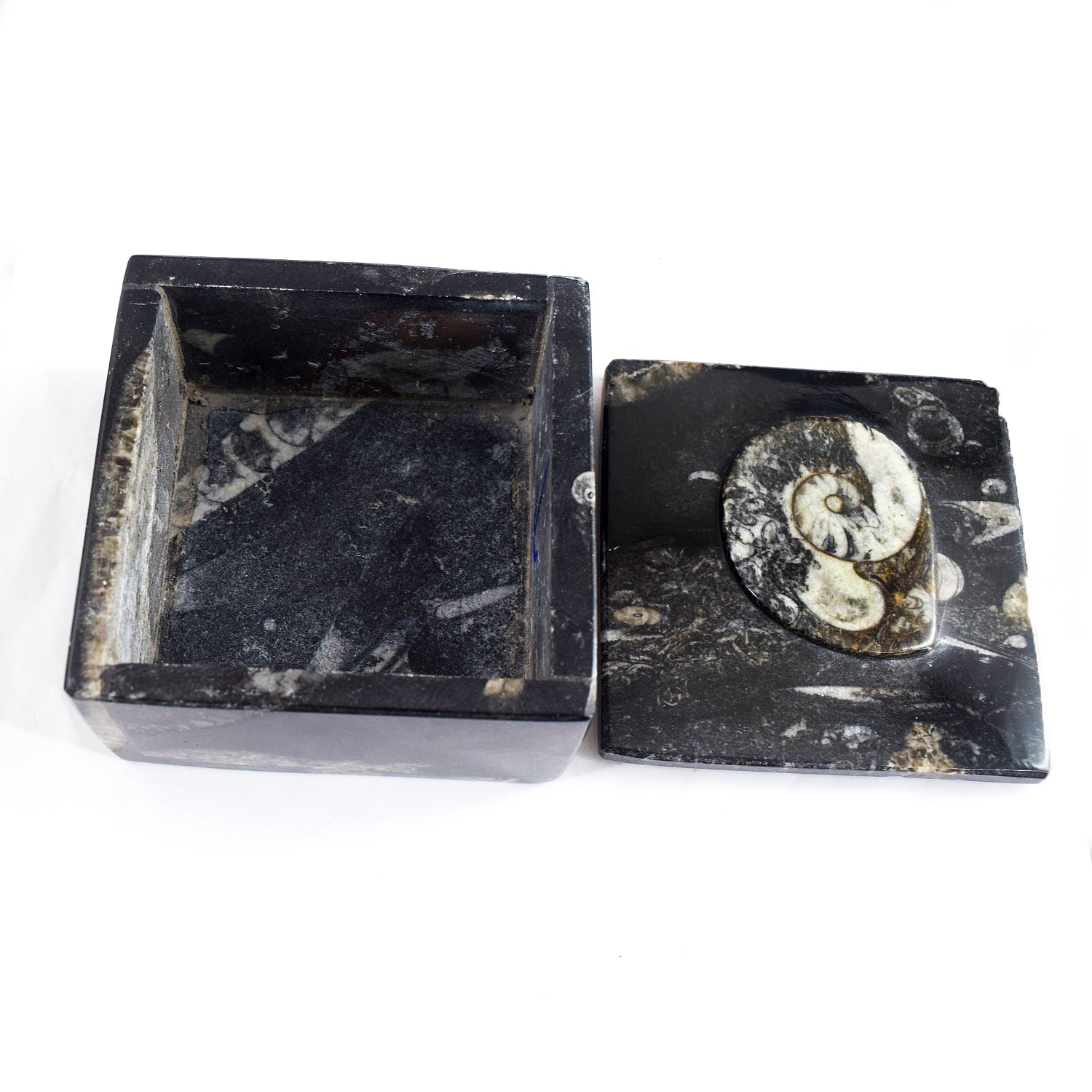 Magnificent 2292.00 Cts Genuine Orthoceras Crystal Specimen Square Shape Box