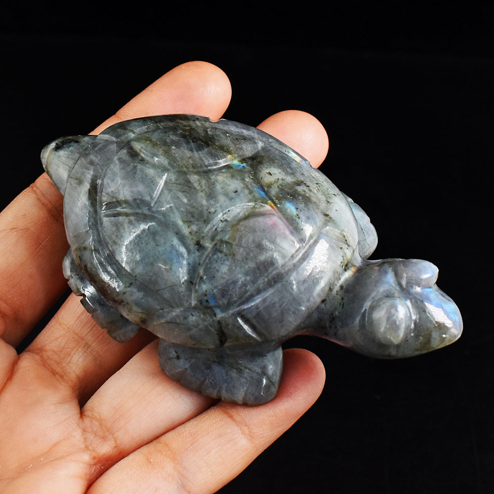 Amazing  712.00 Carats Genuine Blue Flash Labradorite Hand  Carved Crystal Turtle Carving