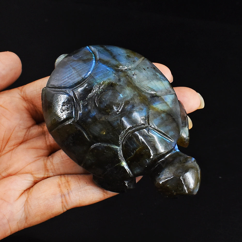 Artisian  694.00 Carats Genuine Blue & Golden Flash Labradorite Hand Carved  Crystal  Turtle Carving