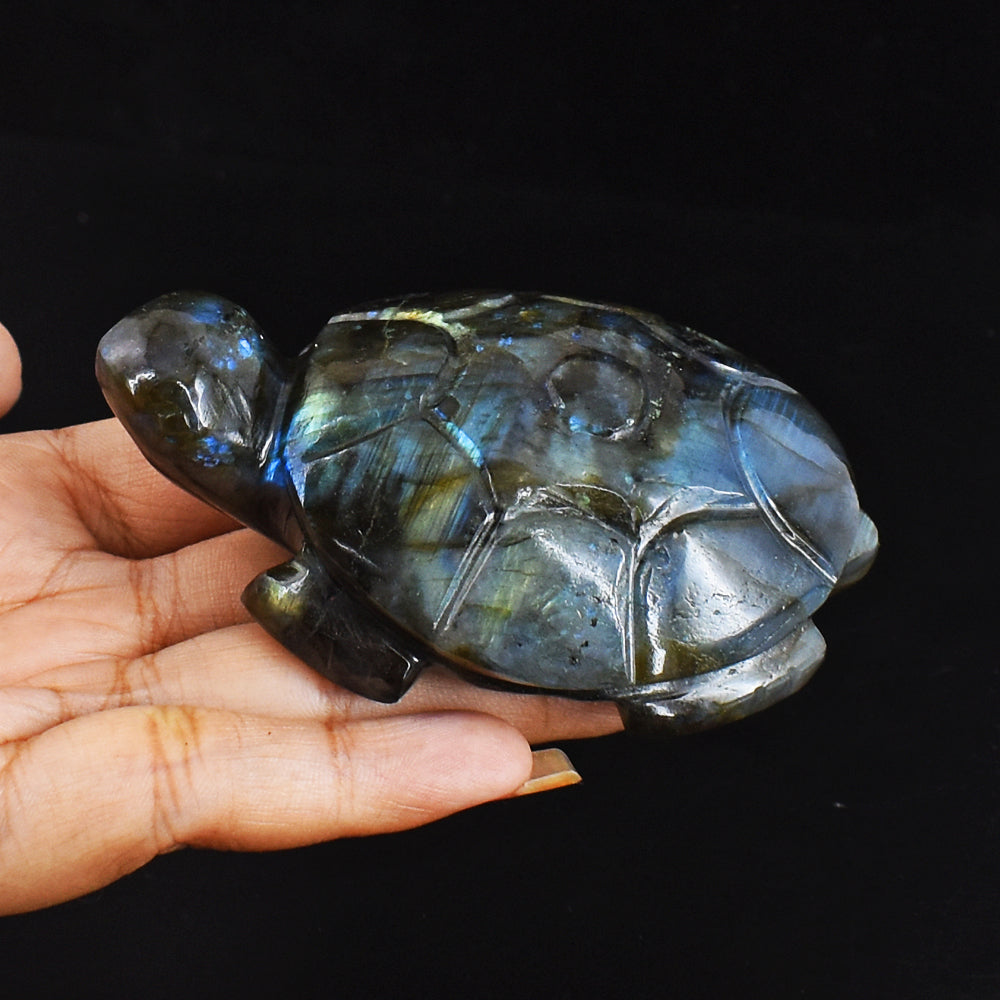 Artisian  694.00 Carats Genuine Blue & Golden Flash Labradorite Hand Carved  Crystal  Turtle Carving