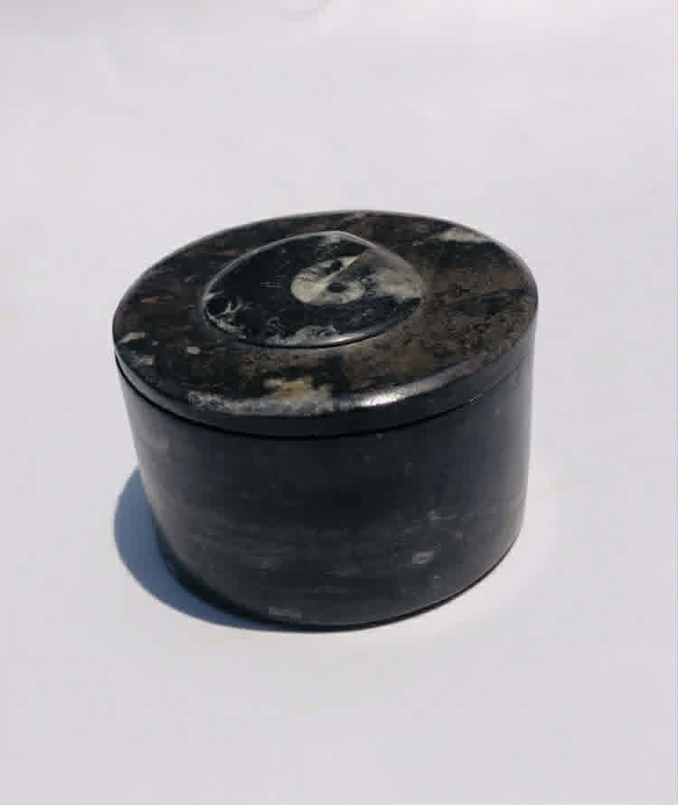 Alluring 1124.00 Cts Genuine Orthoceras Crystal Specimen Round Shape Box