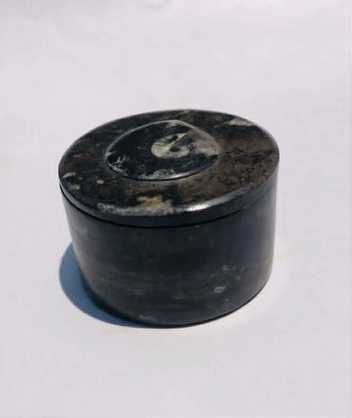 Alluring 1124.00 Cts Genuine Orthoceras Crystal Specimen Round Shape Box