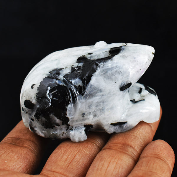 Exclusive 467.00 Carats  Genuine Moonstone  Hand Carved  Crystal Moonstone Frog  Gemstone Carving