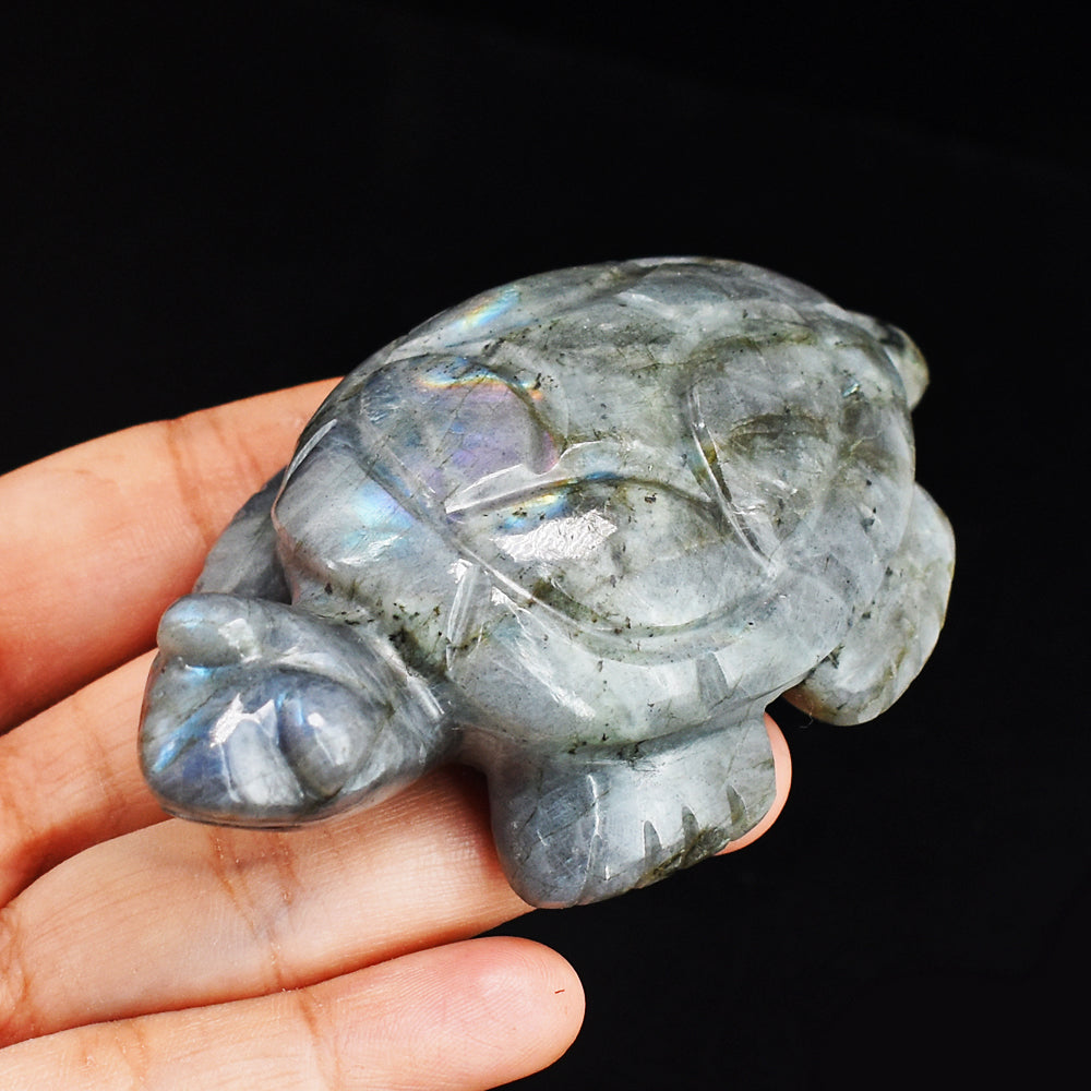 Amazing  712.00 Carats Genuine Blue Flash Labradorite Hand  Carved Crystal Turtle Carving