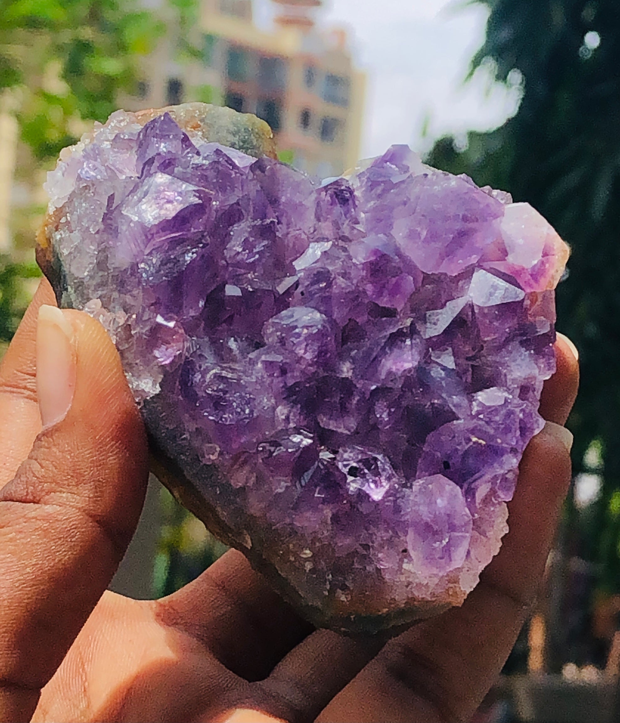 Awesome 896.00 Cts Genuine Amethyst Crystal Specimen Healing Cluster Gemstone