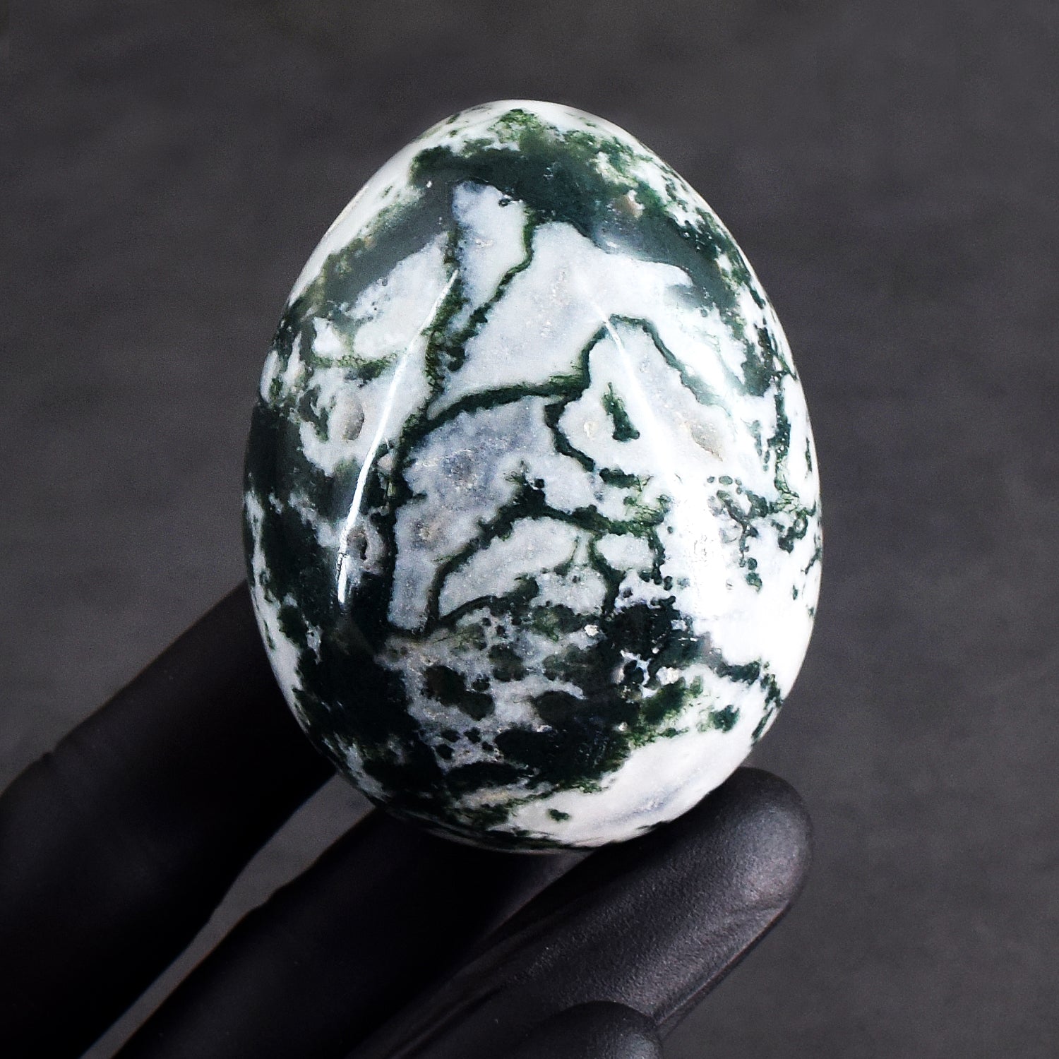 Gorgeous 891.00 Cts Genuine Tree Agate Crystal Healing Premium Egg