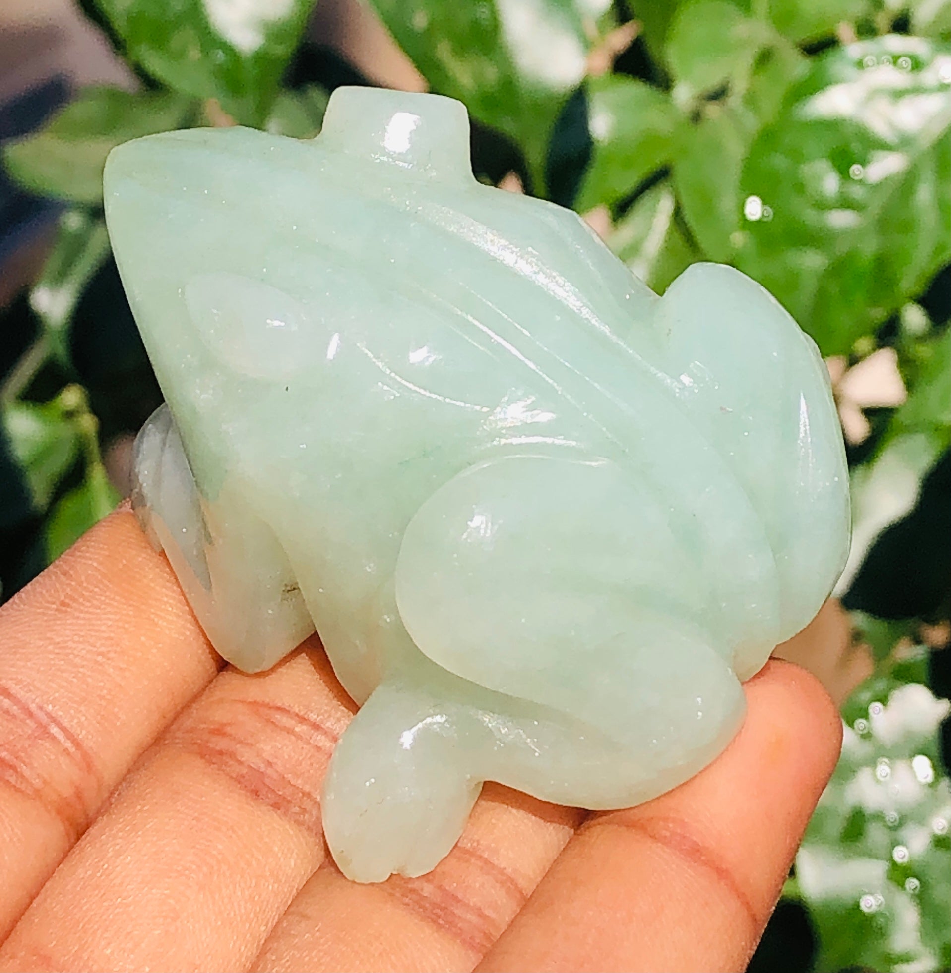 Exclusive 426.00 Cts Genuine Green Aventurine Hand Carved Premium Crystal Frog