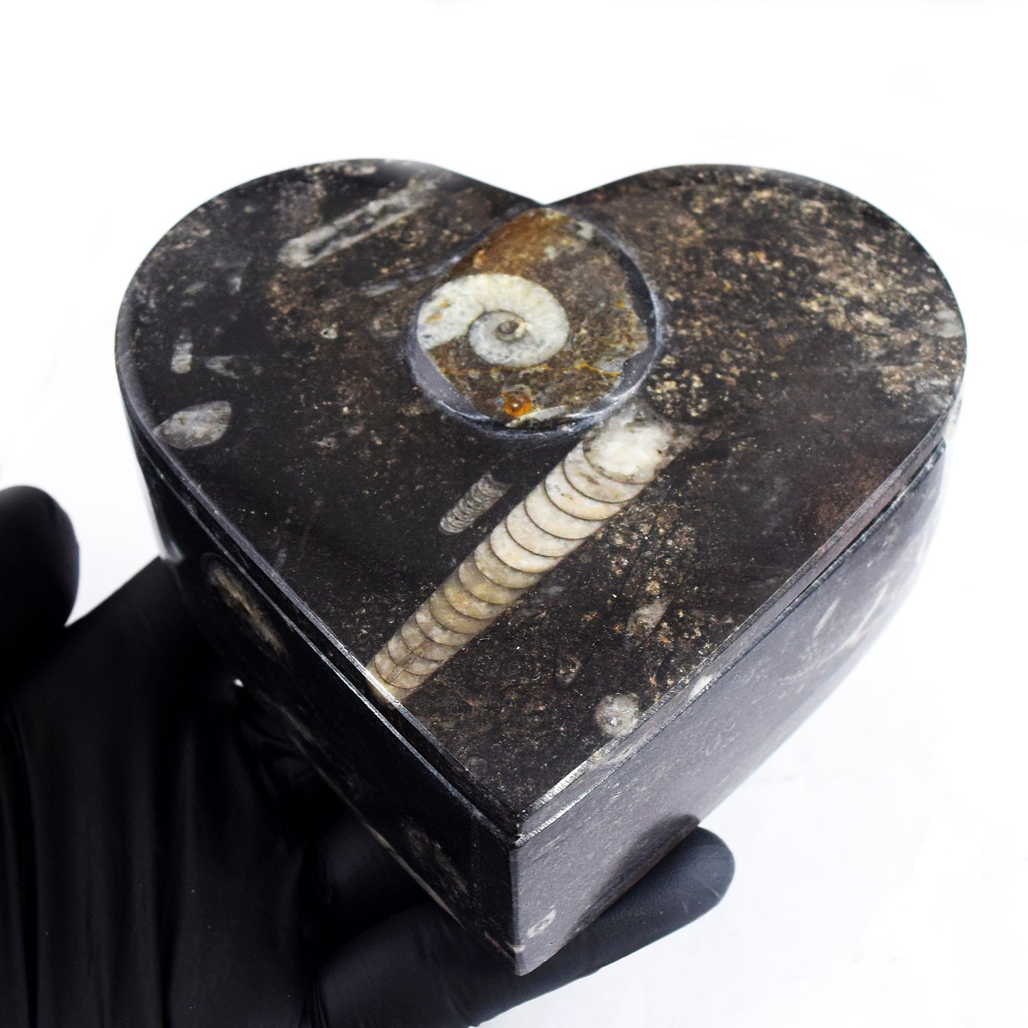 Sufficient 2126.00 Cts Genuine Orthoceras Crystal Specimen Heart Shape Box
