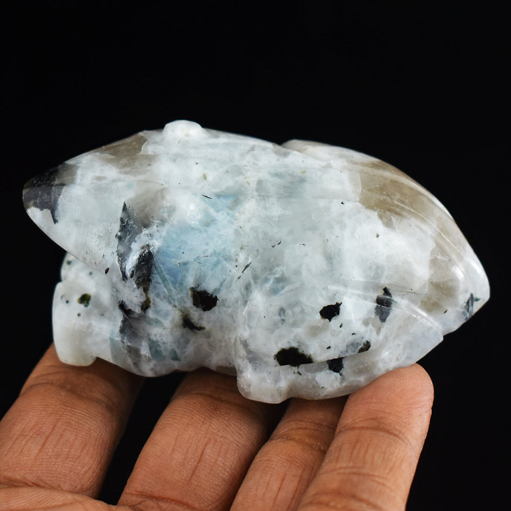 Natural Blue Flash Moonstone 725.00 Carats  Hand Carved Genuine Crystal Gemstone Frog Carving