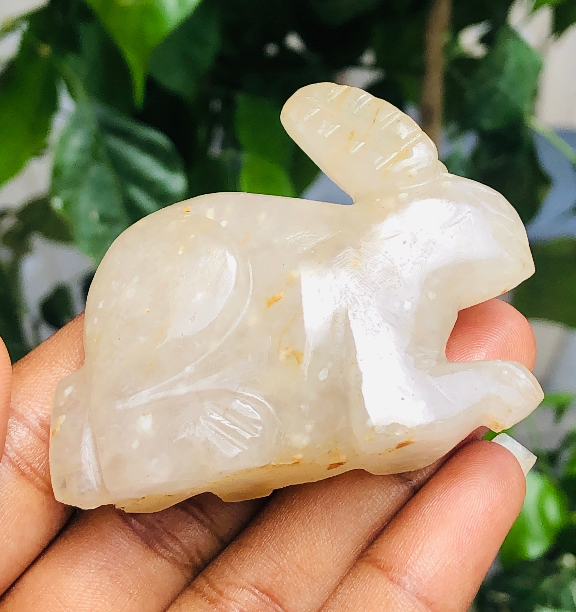 Beautiful 300.00 Carats Genuine Aventurine  Hand Carved  Gemstone  Bunny Carving 2026  Collection