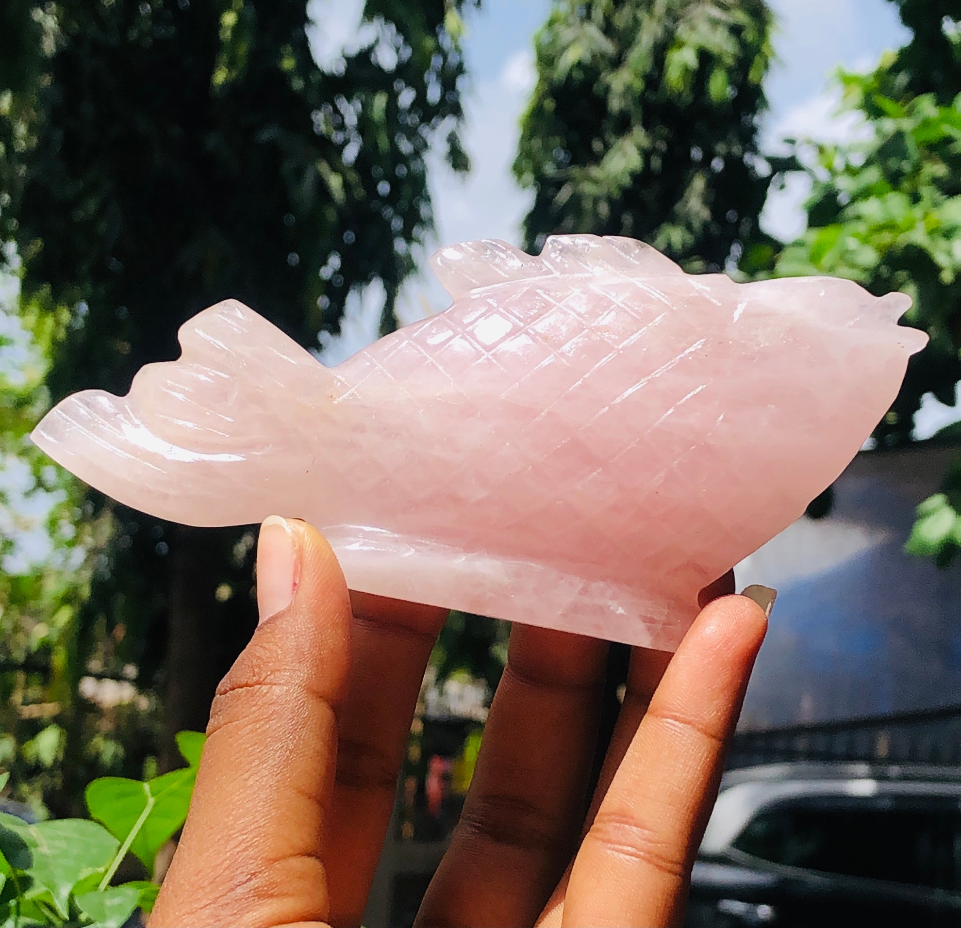 Natural 720.00 Carats Genuine Pink Rose Quartz Hand Carved Crystal Gemstone Carving Fish 2026  Collection