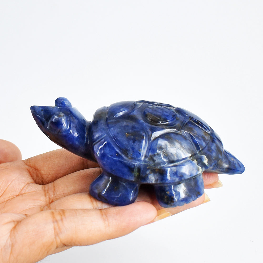 Amazing 499.00 Carats Genuine Blue Sodalite Hand Carved Crystal  Gemstone Turtle Carving