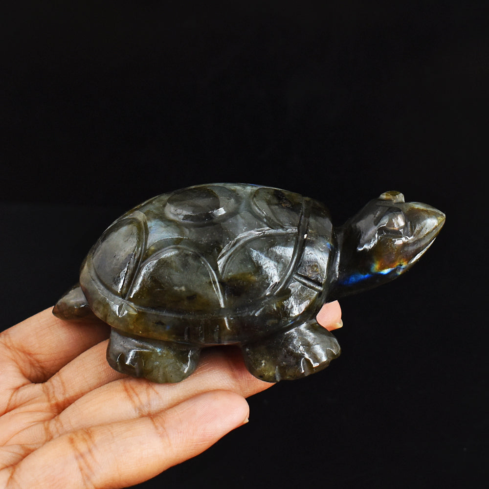 Amazing  714.00 Carats Genuine Blue Flash Labradorite Hand Carved  Crystal  Turtle Carving