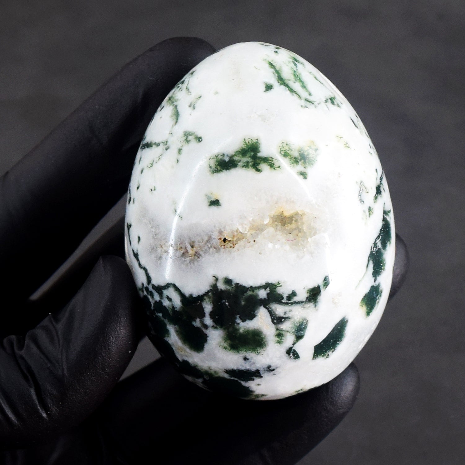 Gorgeous 891.00 Cts Genuine Tree Agate Crystal Healing Premium Egg