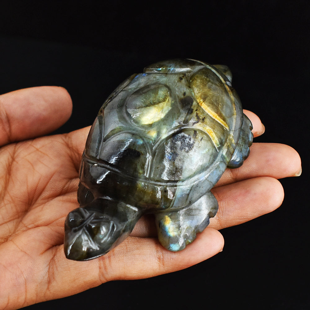 Amazing  714.00 Carats Genuine Blue Flash Labradorite Hand Carved  Crystal  Turtle Carving