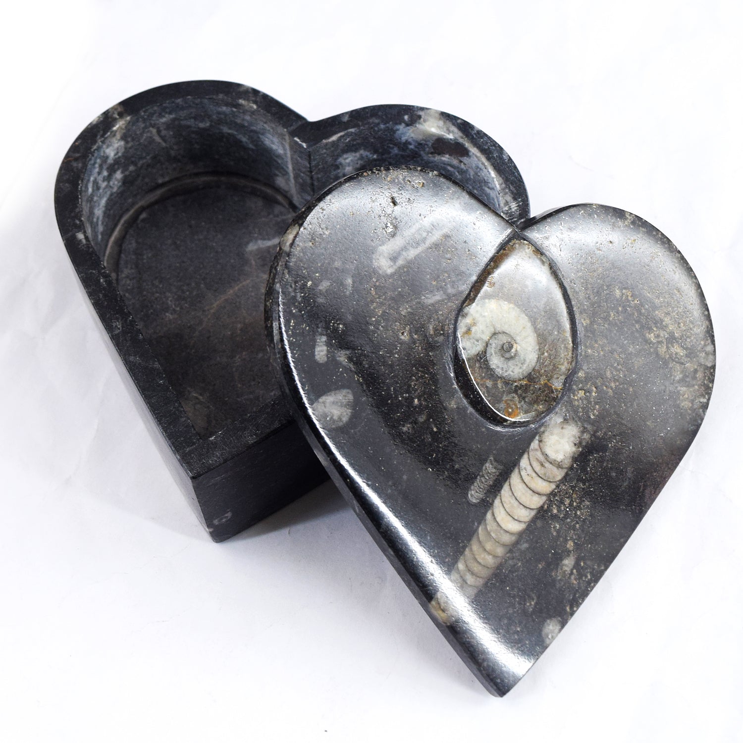 Sufficient 2126.00 Cts Genuine Orthoceras Crystal Specimen Heart Shape Box