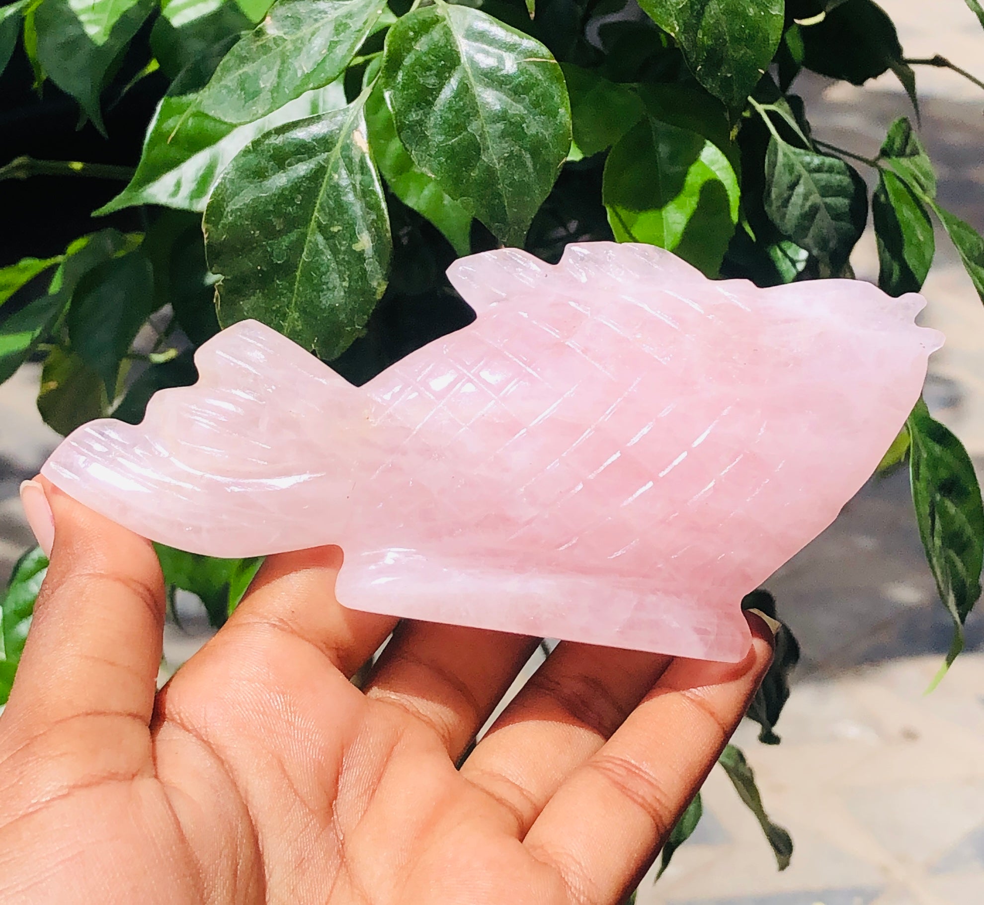 Natural 720.00 Carats Genuine Pink Rose Quartz Hand Carved Crystal Gemstone Carving Fish 2026  Collection