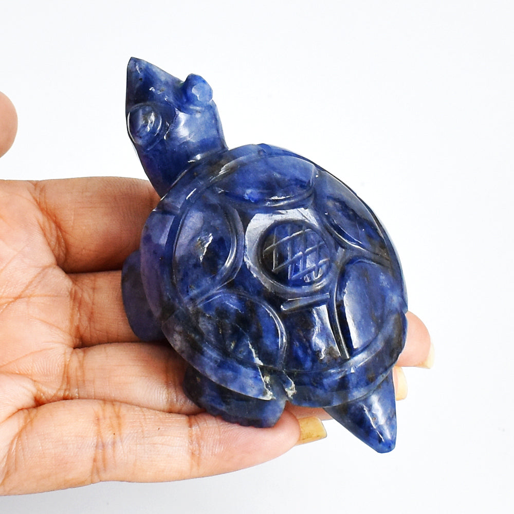 Amazing 499.00 Carats Genuine Blue Sodalite Hand Carved Crystal  Gemstone Turtle Carving