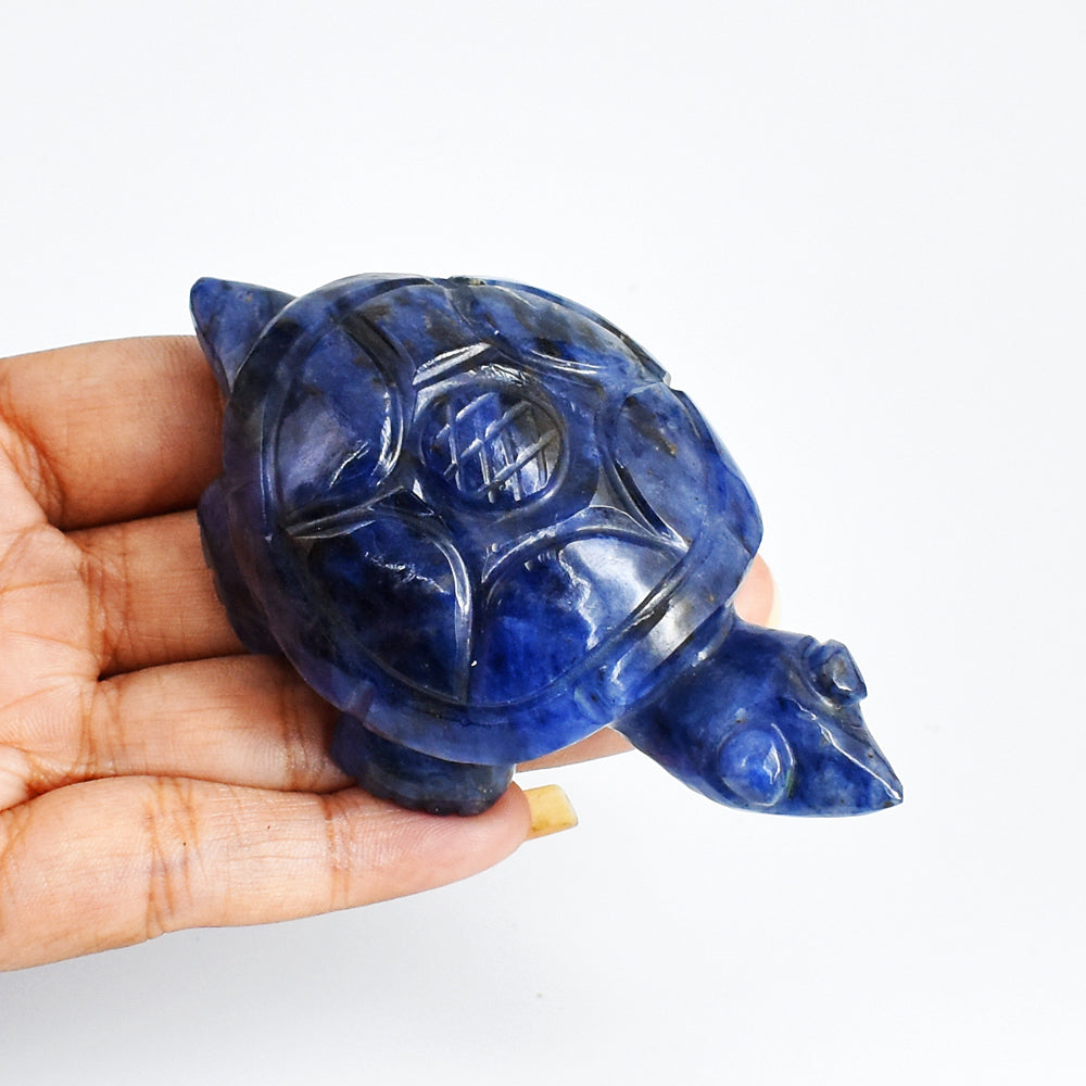 Amazing 499.00 Carats Genuine Blue Sodalite Hand Carved Crystal  Gemstone Turtle Carving