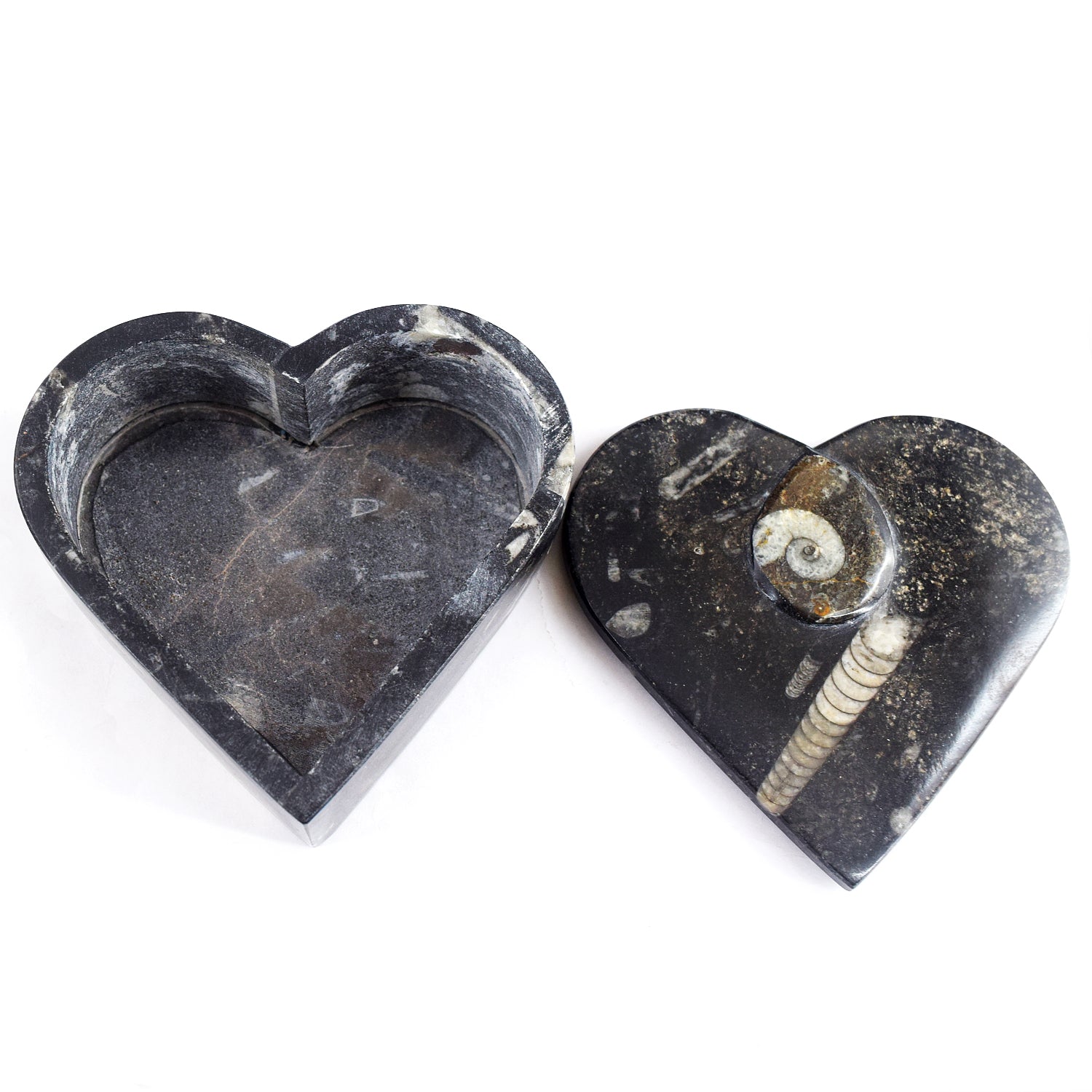 Sufficient 2126.00 Cts Genuine Orthoceras Crystal Specimen Heart Shape Box