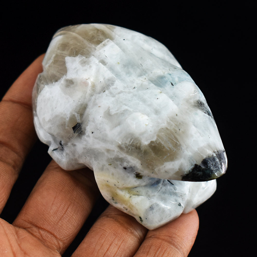 Natural Blue Flash Moonstone 725.00 Carats  Hand Carved Genuine Crystal Gemstone Frog Carving