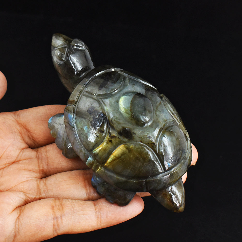 Amazing  714.00 Carats Genuine Blue Flash Labradorite Hand Carved  Crystal  Turtle Carving