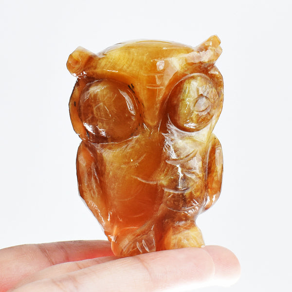 Exclusive 714.00 Cts Genuine  Multicolor Fluorite Hand Carved Crystal  Gemstone Owl Carving