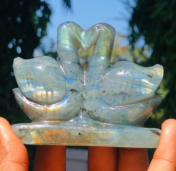 Beautiful 686.00 Cts Genuine Golden & Blue Flash Labradorite Carved Love Swan Pair Premium