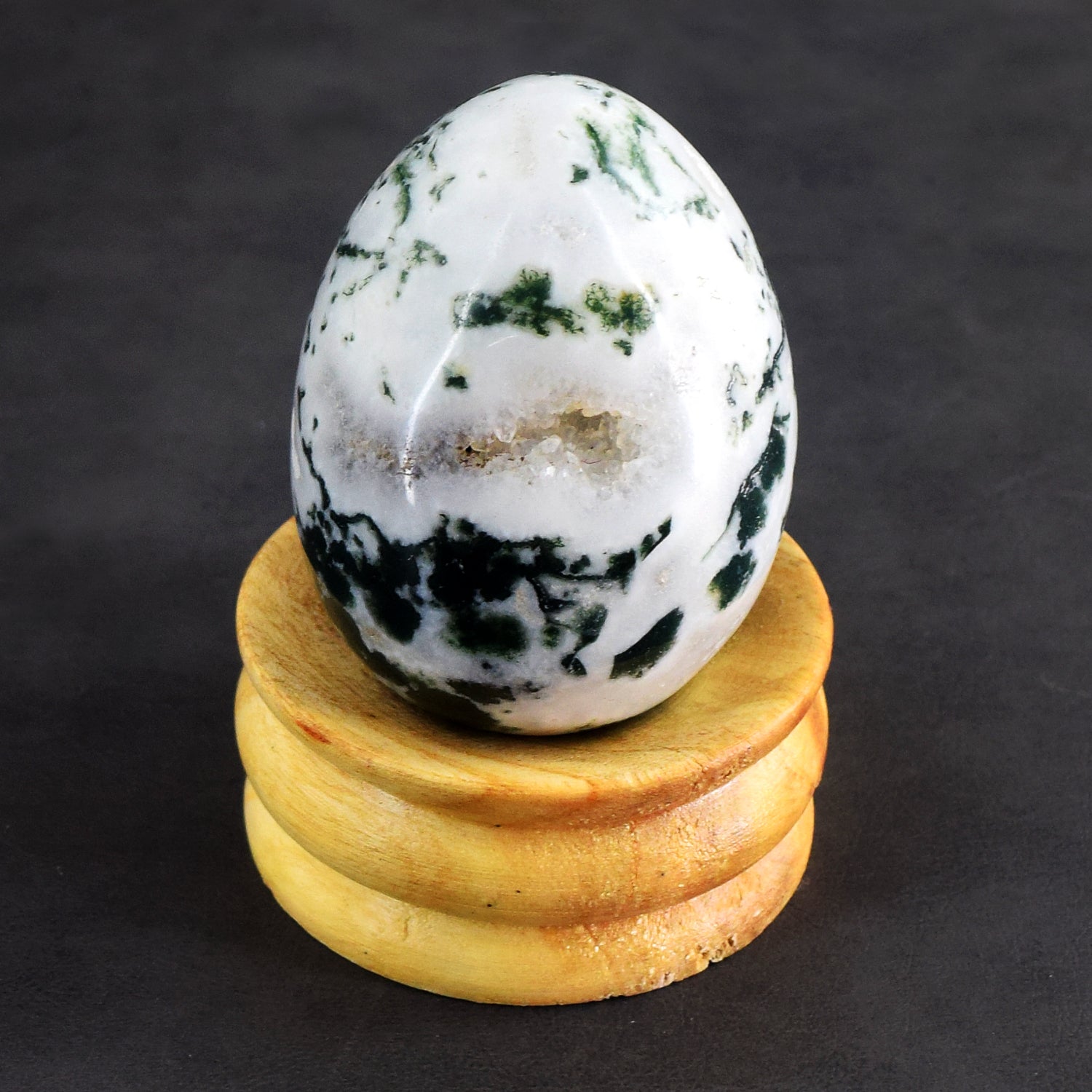 Gorgeous 891.00 Cts Genuine Tree Agate Crystal Healing Premium Egg
