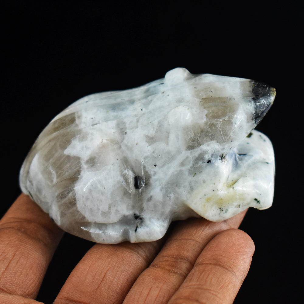 Natural Blue Flash Moonstone 725.00 Carats  Hand Carved Genuine Crystal Gemstone Frog Carving
