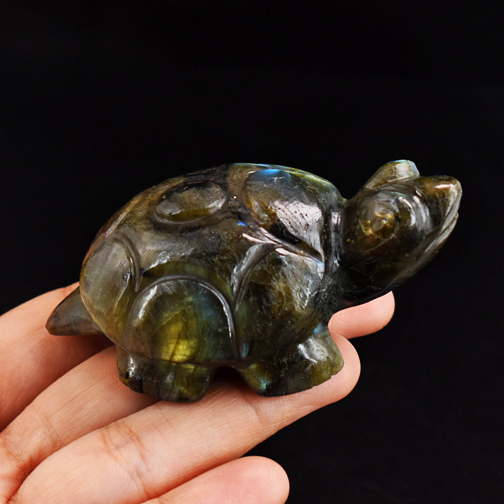 615.00 Carats  Genuine Golden &  Blue Flash Labradorite Hand Carved  Crystal  Gemstone Turtle Carving