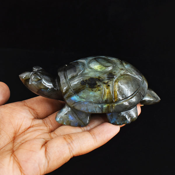 Amazing  714.00 Carats Genuine Blue Flash Labradorite Hand Carved  Crystal  Turtle Carving
