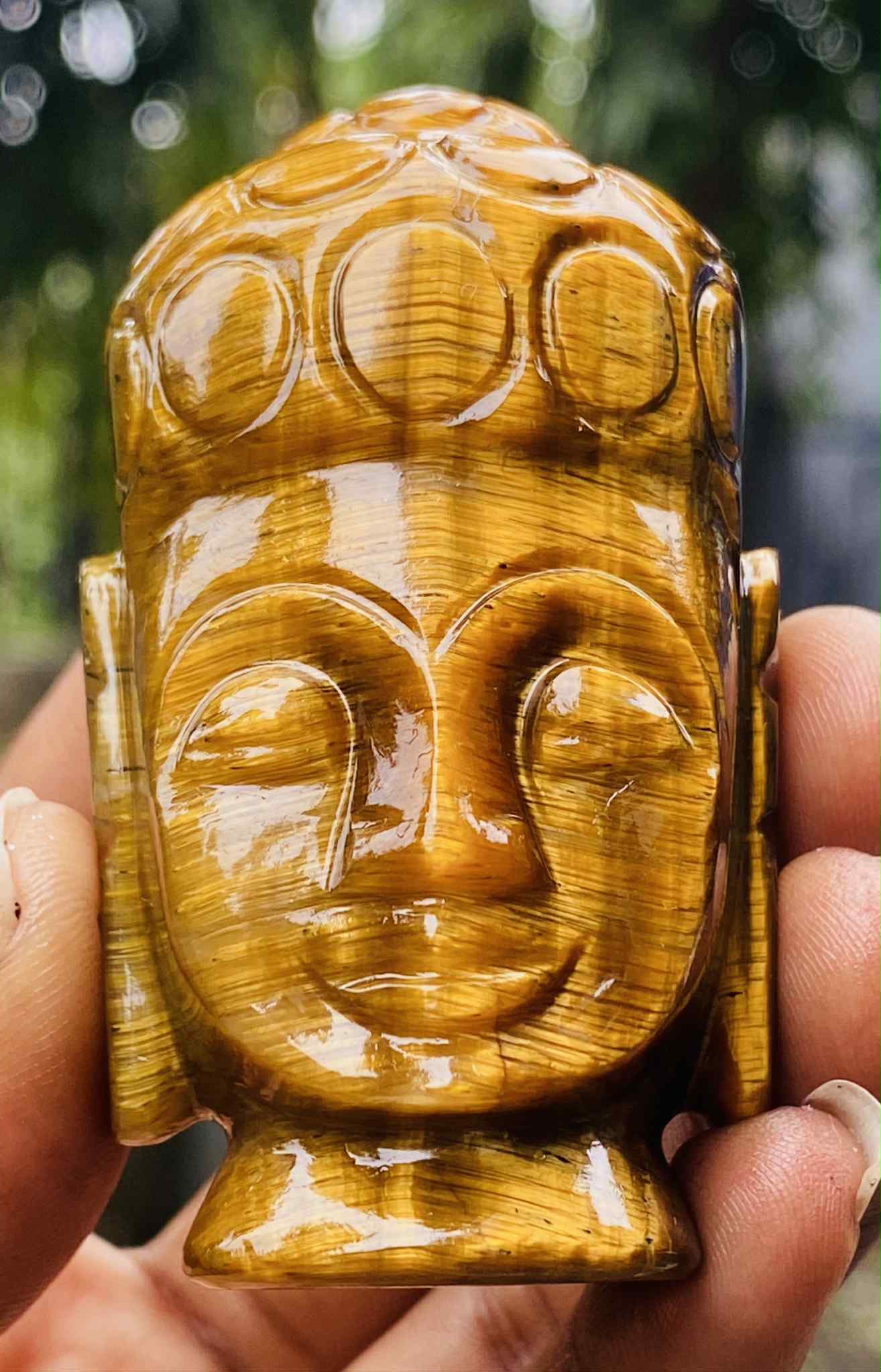 Fabulous 646.00 Cts Genuine Tiger Eye Hand Carved Genuine Crystal Gemstone Carving Buddha Head