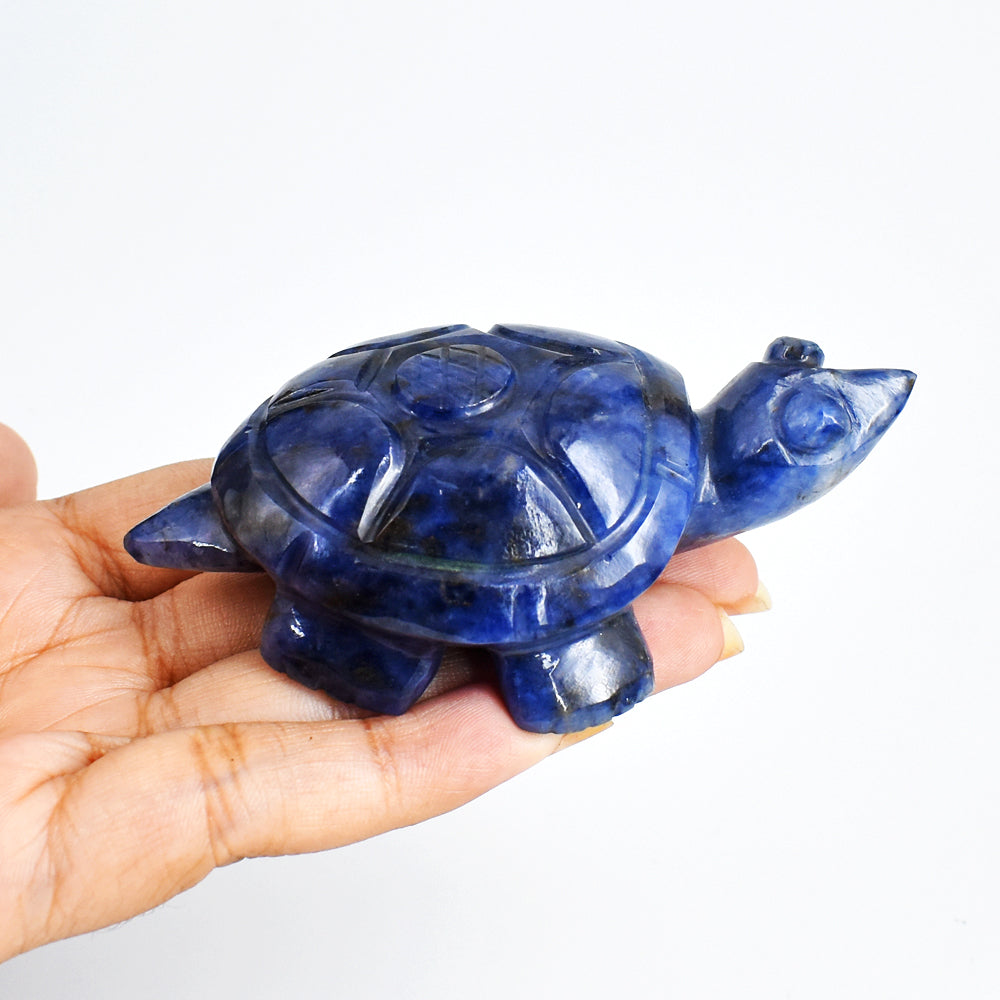 Amazing 499.00 Carats Genuine Blue Sodalite Hand Carved Crystal  Gemstone Turtle Carving