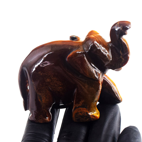 Natural 555.00 Cts Genuine Tiger Eye Premium Carved Elephant Crystal