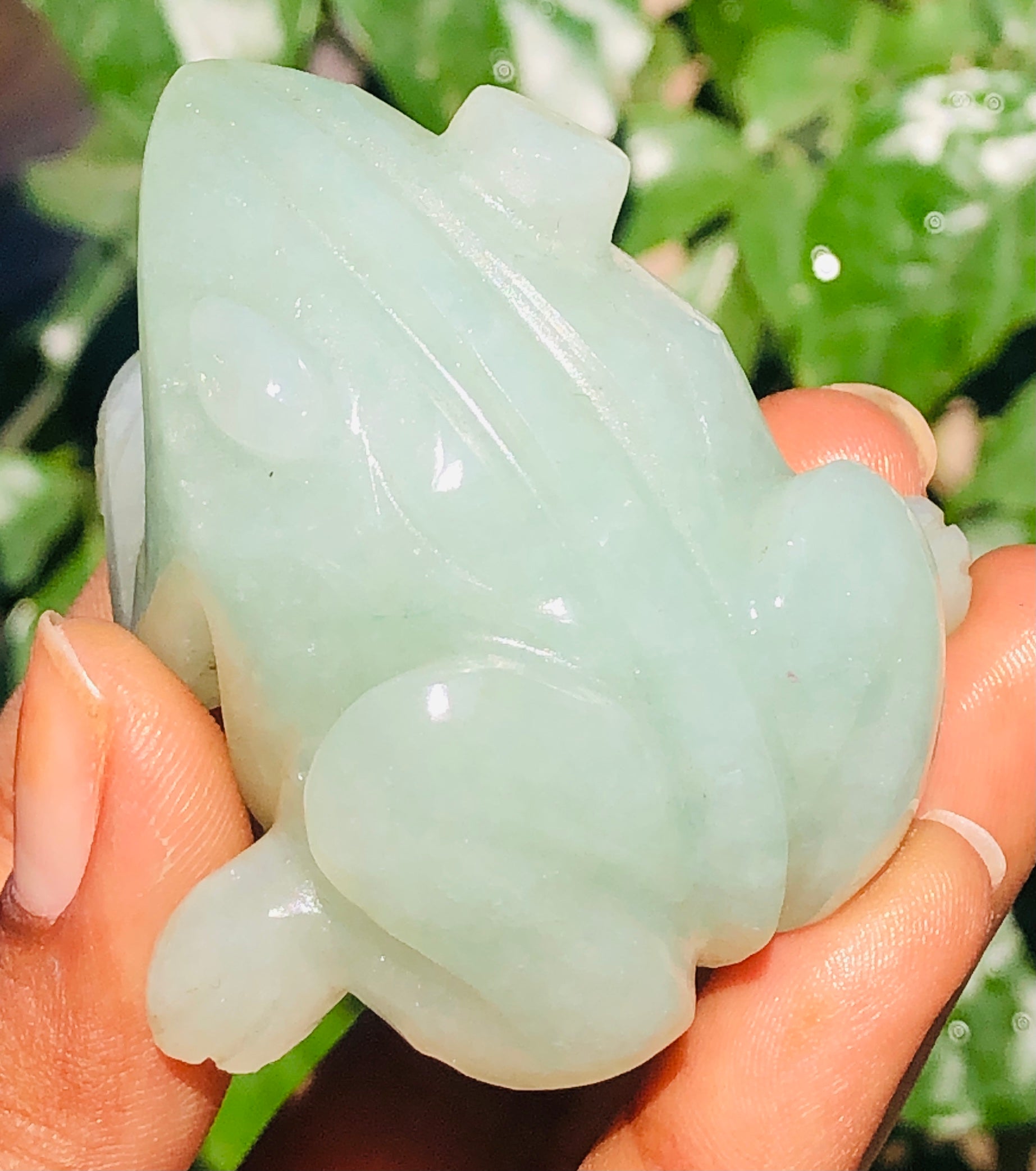 Exclusive 426.00 Cts Genuine Green Aventurine Hand Carved Premium Crystal Frog