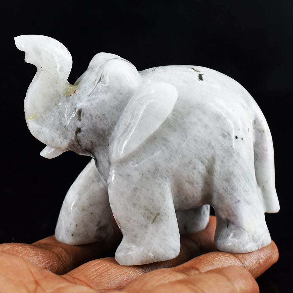 gemsmore:Amazing  946.00  Cts Moonstone  Hand Carved Genuine Crystal Gemstone Carving Elephant