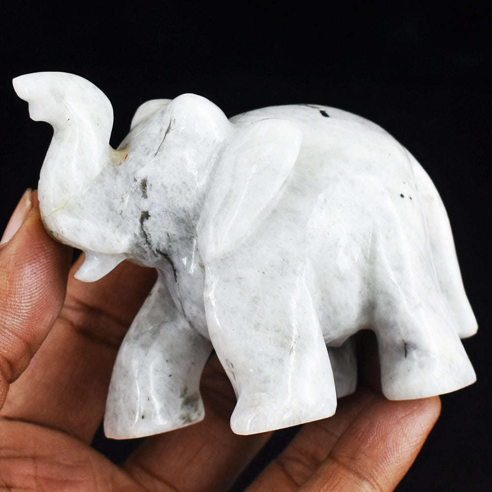 gemsmore:Amazing  946.00  Cts Moonstone  Hand Carved Genuine Crystal Gemstone Carving Elephant