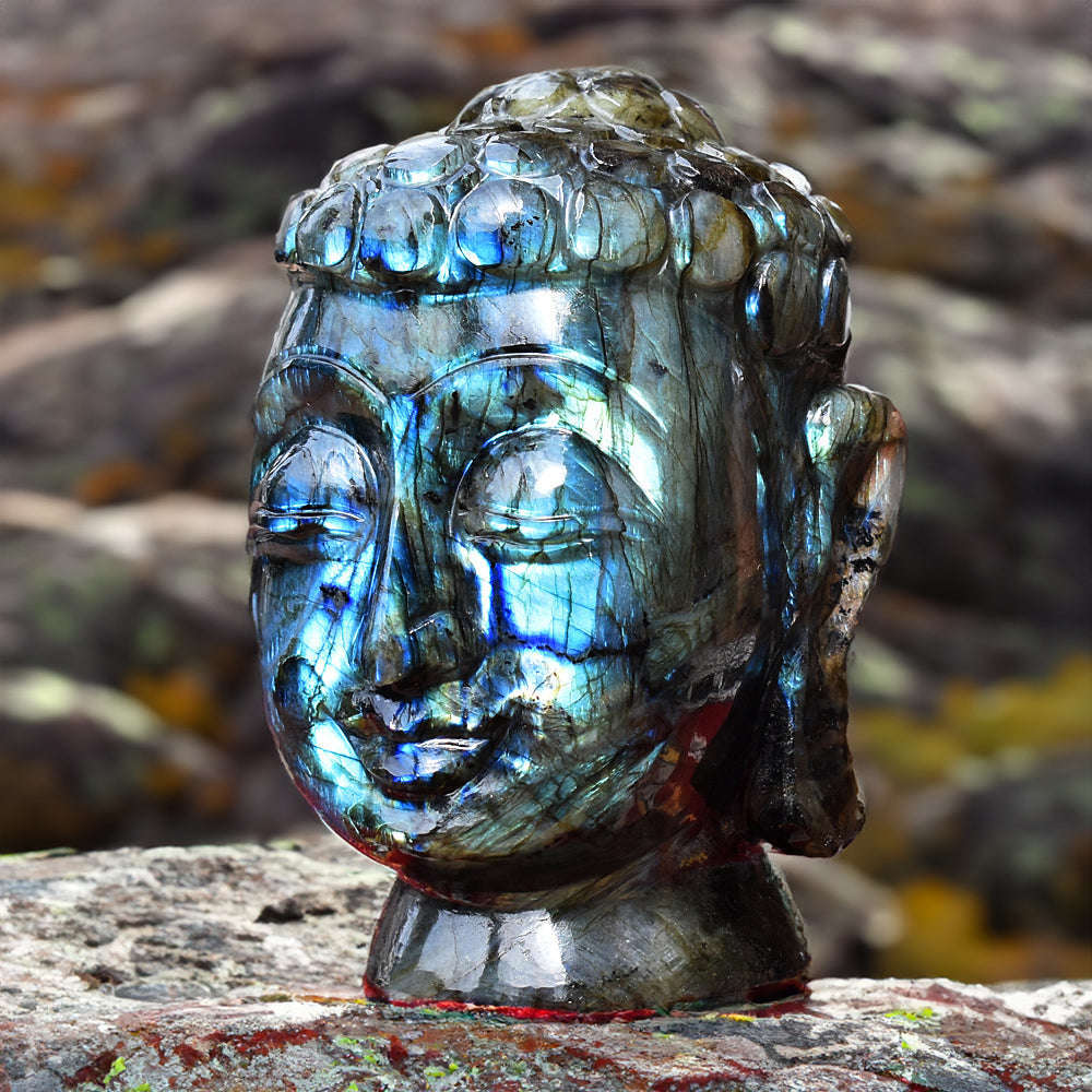 gemsmore:Amazing Blue Flash Massive Labradorite Carved Lord Buddha Head Idol