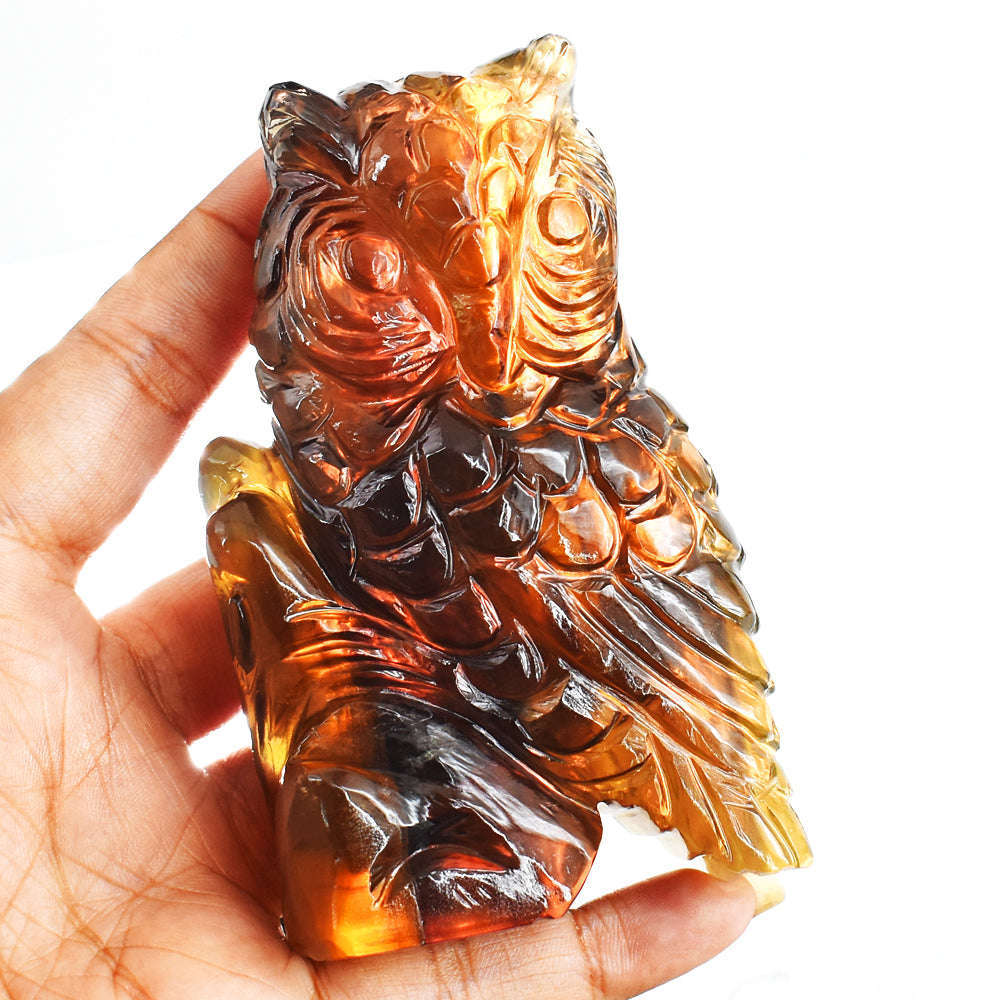 gemsmore:Amazing Multicolor Fluorite Hand Carved Genuine Crystal Gemstone Owl Carving