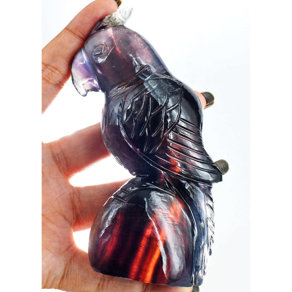 gemsmore:Awesome  1387.00 Carats Genuine Multicolor Fluorite Hand Carved Parrot Gemstone Carving