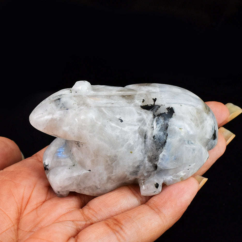 gemsmore:Beautiful`Blue Flash Moonstone  Hand Carved Genuine Crystal Moonstone Carving Frog