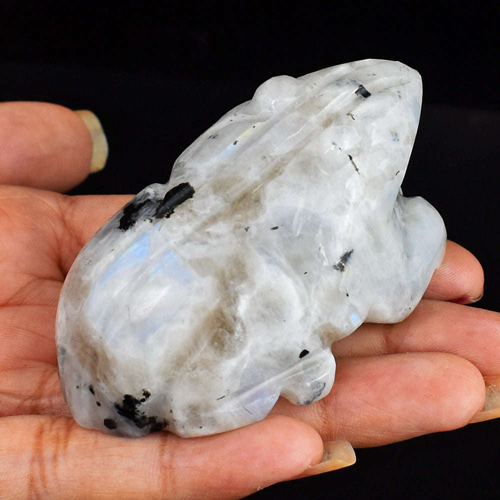 gemsmore:Beautiful`Blue Flash Moonstone  Hand Carved Genuine Crystal Moonstone Carving Frog