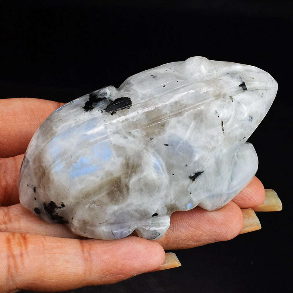 gemsmore:Beautiful`Blue Flash Moonstone  Hand Carved Genuine Crystal Moonstone Carving Frog