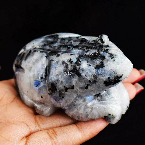 gemsmore:Blue Flash Moonstone 1037.00 Cts  Hand Carved Genuine Crystal Moonstone Carving Frog