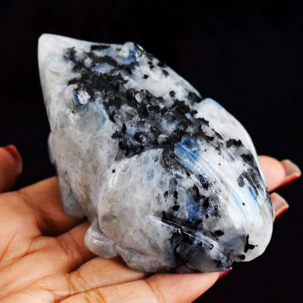 gemsmore:Blue Flash Moonstone 1037.00 Cts  Hand Carved Genuine Crystal Moonstone Carving Frog