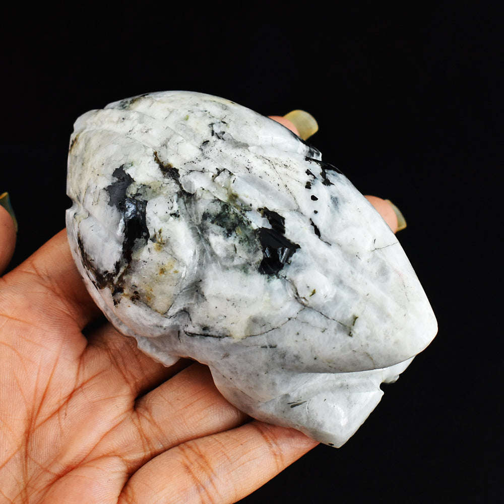 gemsmore:Exclusive 1037.00 Cts  Genuine Blue Flash Moonstone  Hand Carved  Frog Gemstone Carving