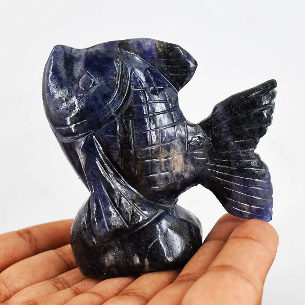 gemsmore:Gorgeous  1061.00  Cts Blue Sodalite Hand Carved Genuine Crystal Gemstone Carving Fish