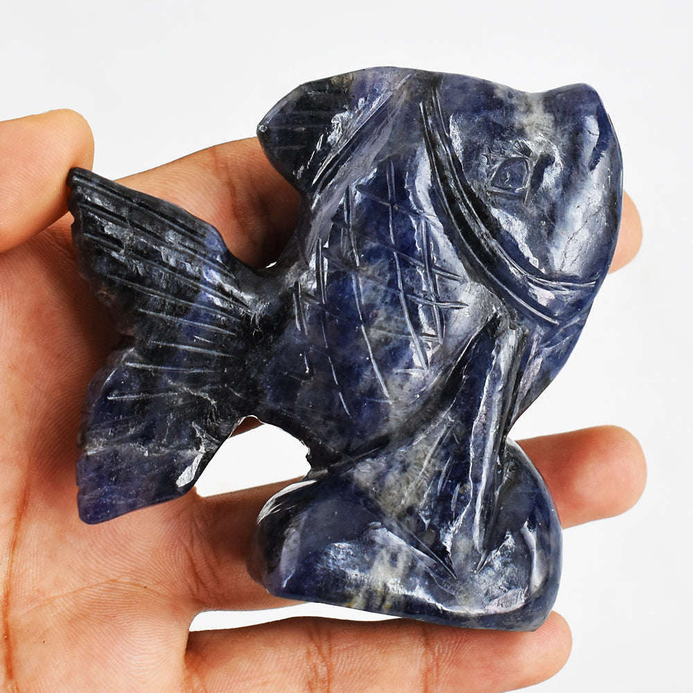 gemsmore:Gorgeous  1061.00  Cts Blue Sodalite Hand Carved Genuine Crystal Gemstone Carving Fish