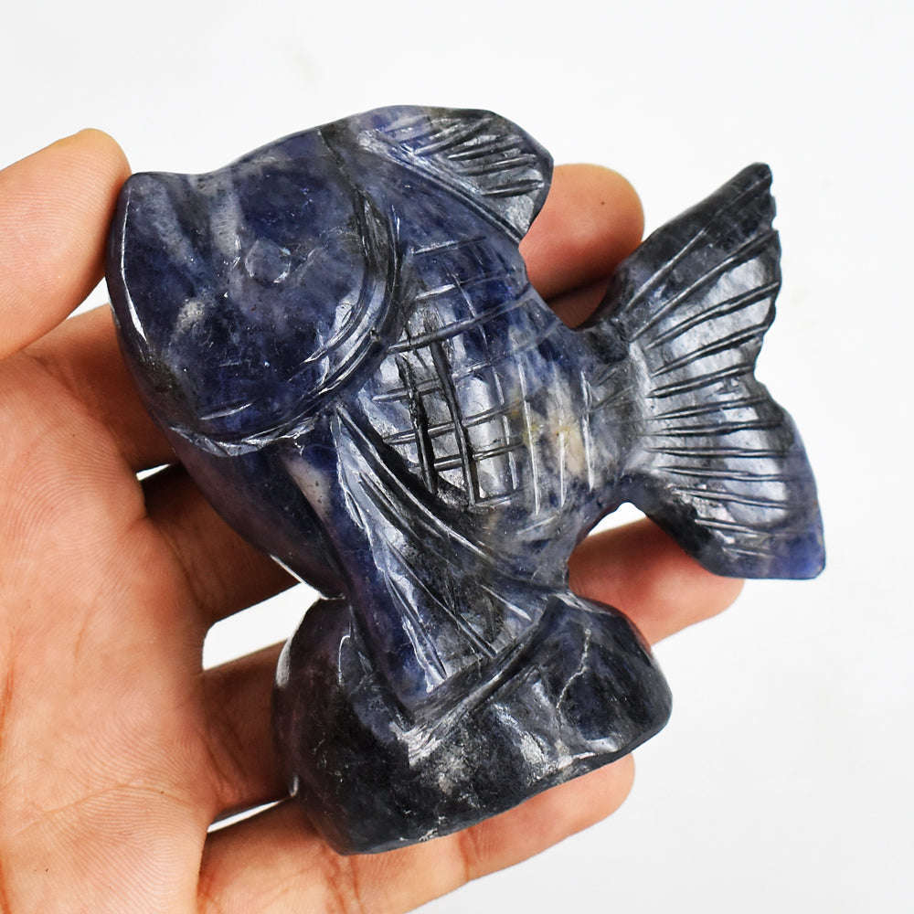 gemsmore:Gorgeous  1061.00  Cts Blue Sodalite Hand Carved Genuine Crystal Gemstone Carving Fish